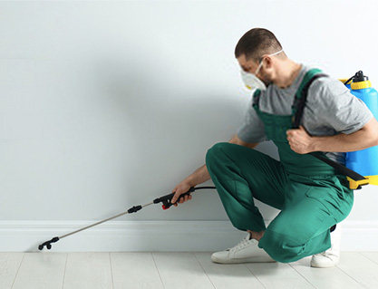 Pest Control Strathmore Services